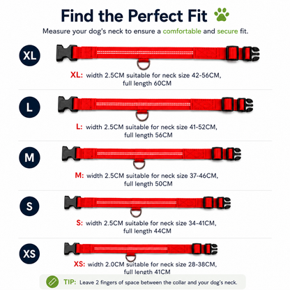 GlowGuard™ LED Dog Collar