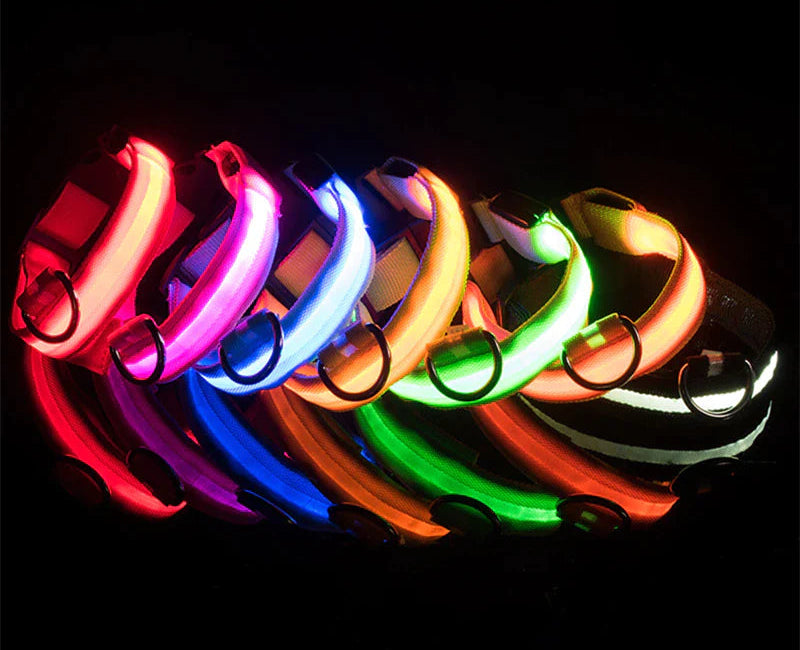 LED Adjustable Dog Collar Blinking Flashing Light up Glow Pets Safety Waterproof
