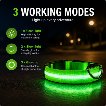 GlowGuard™ LED Dog Collar
